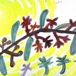 #16 - Grevillea