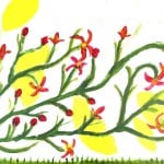 #31 - Melaleuca