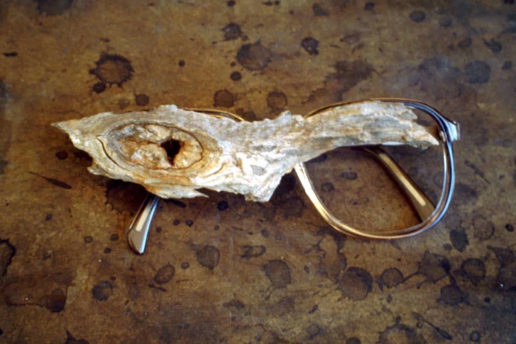 Nalda Searles, Another way of seeing, eyeglasses, aged mallee wood fragment found and collected from the West Australian Goldfields, 120mm x 60mm x 12mm