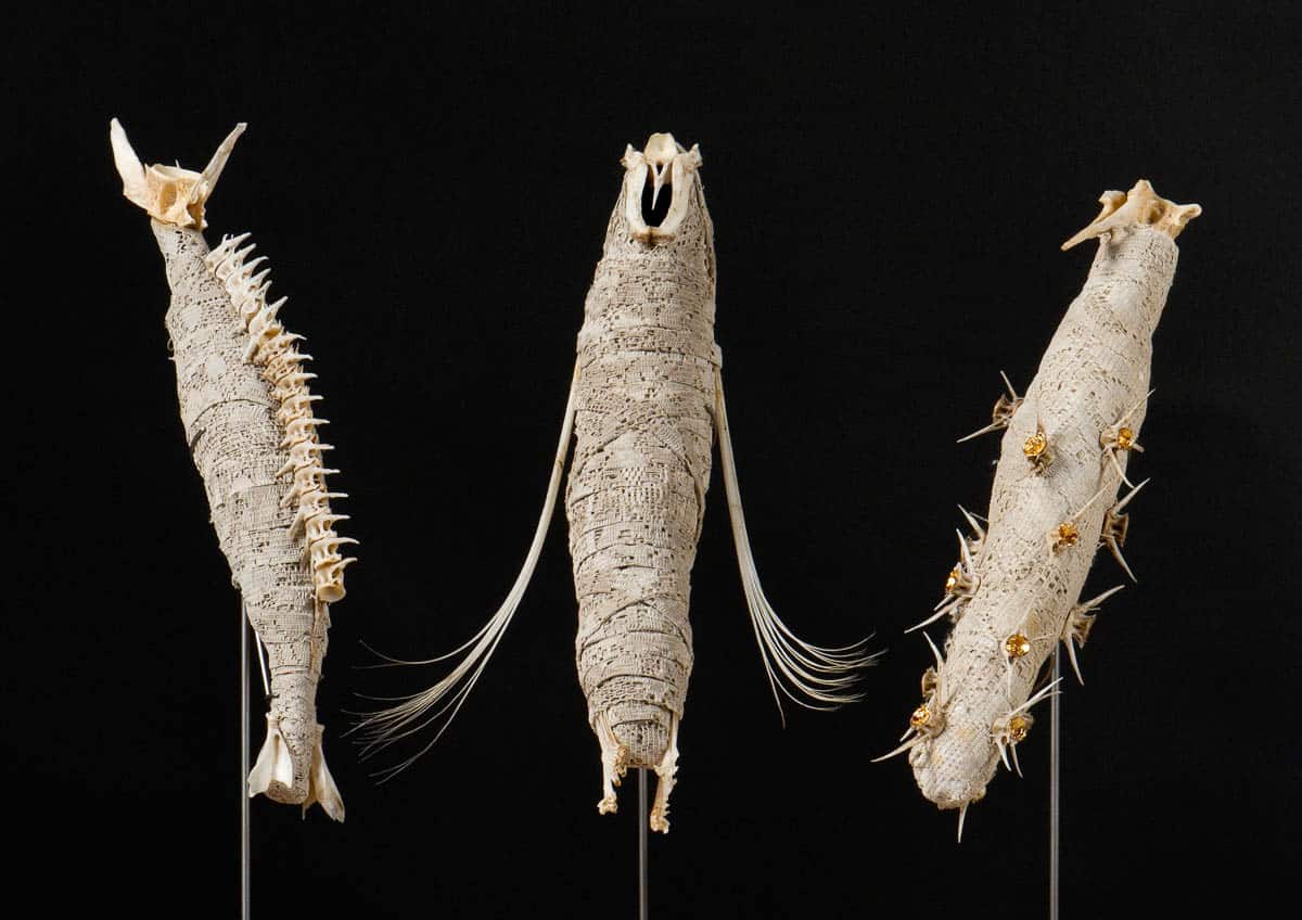Sally Simpson, Venerated Remains trio, 2012, three objects lace,fish bones and scales, mud, gold leaf on mirrored, aluminium base, 46 x 60 x 20cm