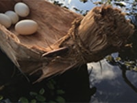 shaun edwards, paperbark coolamon (after), kunthérr – paperbark, boxwood, coconut husk string, freshwater crocodile eggs, 25.4 x 45.72 x 15.24cm, photo: shaun edwards, made in cairns, australia