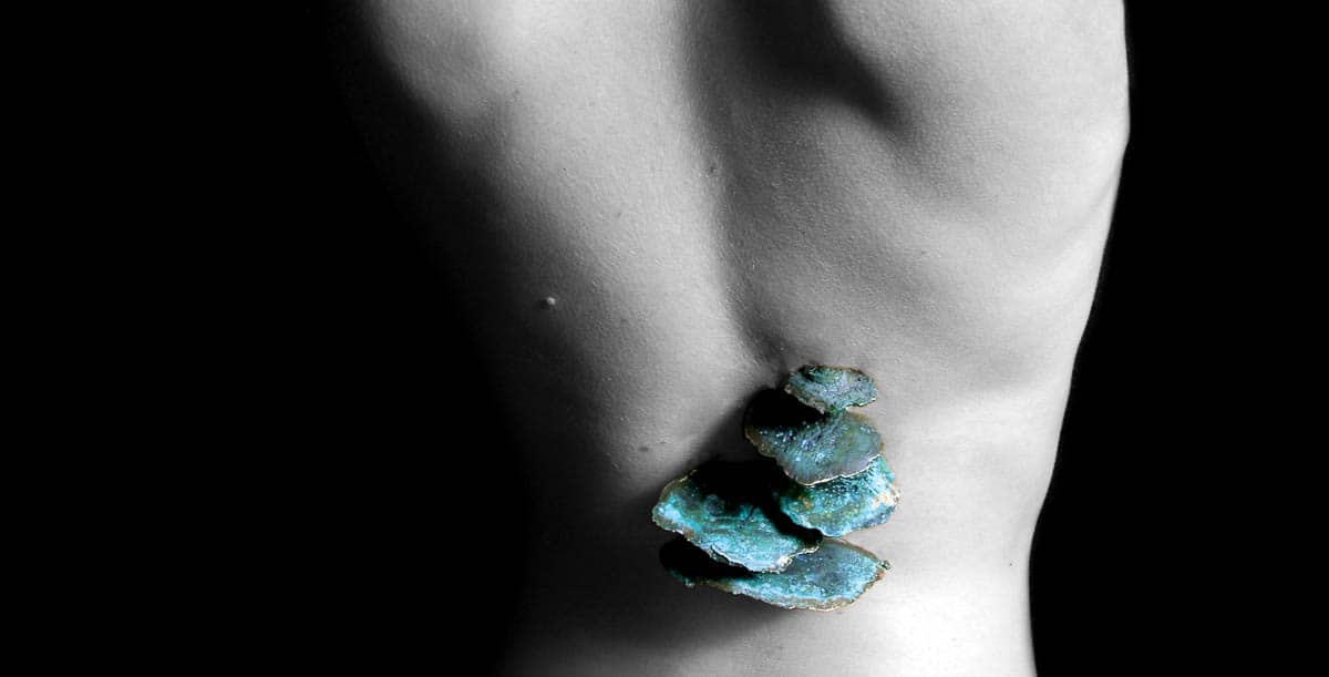 Marisa Molin, Symbiosis Series - Back Fungus (After), 2007, Bronze, 13 x 11 x 5.5cm, photo: Marisa Molin, made in Tasmania