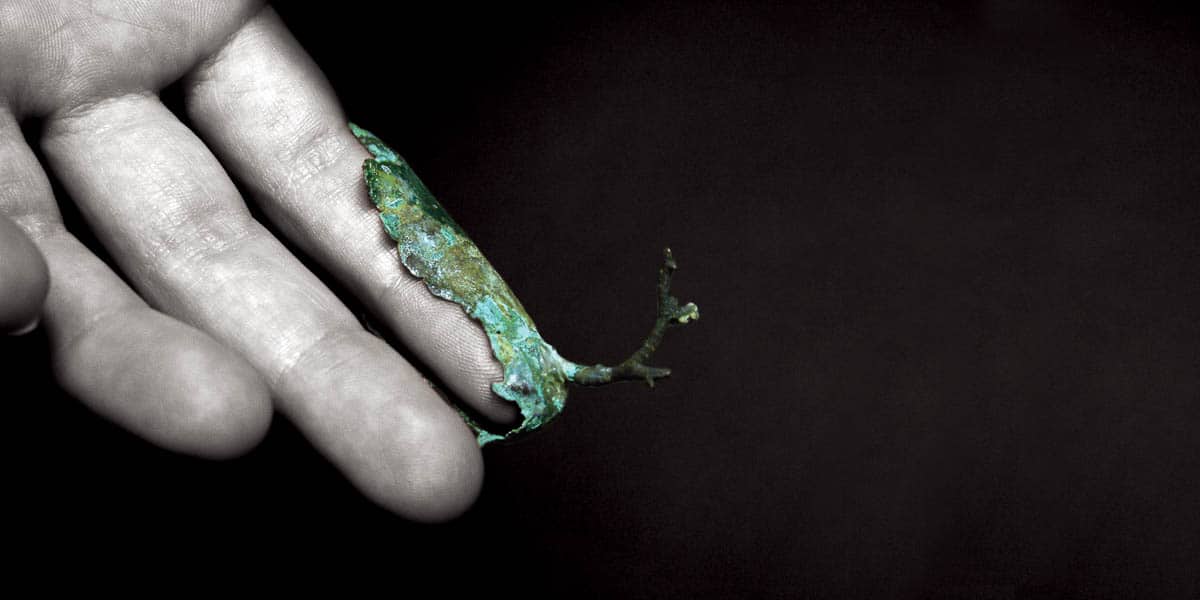 Marisa Molin, Symbiosis Series - Branch Finger (After), 2007, Bronze, plastic, enamel paint, 5.5 x 2 x 3.5cm, photo: Marisa Molin, made in Tasmania