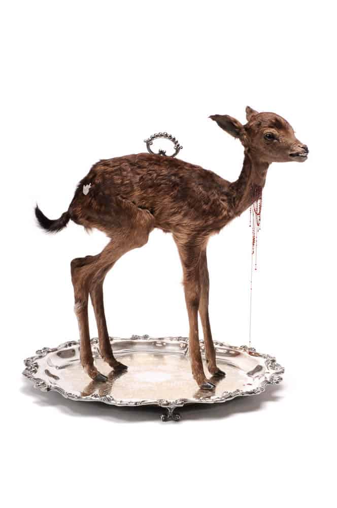 Julia deVille, Sentience (After), Stillborn deer, glass, rubies (18.45ct), pear cut garnet (0.76ct), 18ct white gold chain and wire, sterling silver, bronze, black rhodium, antique Wallace platter, 49 x 49 x 51cm, photo: Terence Bogue, made in Melbourne, Australia