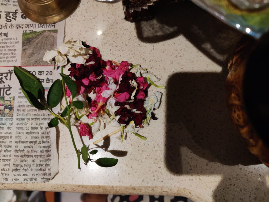 photo essay on flowers